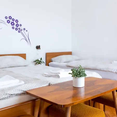 Apartments And Rooms Jeselnik-2